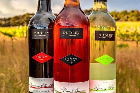 Wine Tour 4WD Tour - Accommodation NT 2