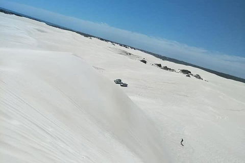 Yanchep & Lancelin - Wildlife, Cave And Sands - Accommodation NT 3