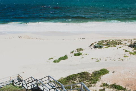 Yanchep & Lancelin - Wildlife, Cave And Sands - Accommodation NT 5