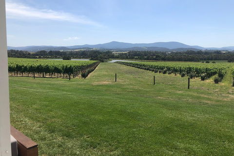 Yarra Valley, Dandenong Ranges Inc. Lunch With Wine,plus Morning Tea,chocolate - Accommodation NT 3
