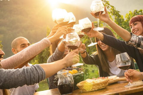Yarra Valley, Dandenong Ranges Inc. Lunch With Wine,plus Morning Tea,chocolate - Accommodation NT 4
