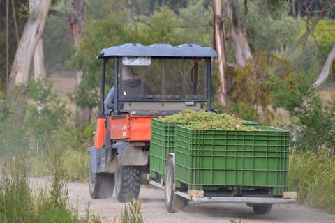 Yarra Valley Private Car Winery Tour And Chocolate.1-7 Passengers One Car Price - Accommodation NT 1