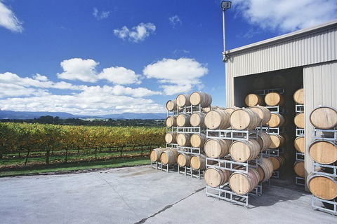Yarra Valley Private Car Winery Tour And Chocolate.1-7 Passengers One Car Price - Accommodation NT 2