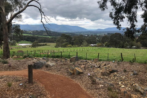 Yarra Valley Wine Tour Inc Lunch With A Glass Of Wine, Tastings And Chocolate - Accommodation NT 0