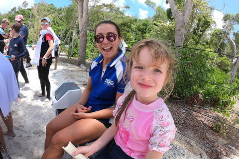 Whitehaven Beach Day Tour With Snorkel In Whitsundays Island - Accommodation NT 1