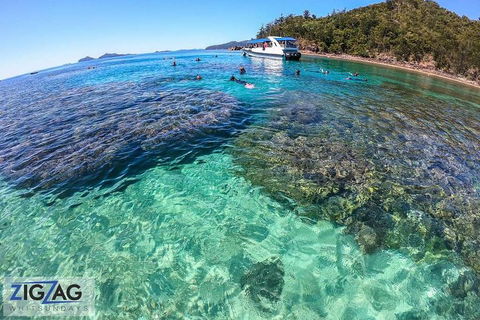 Whitehaven Beach Day Tour With Snorkel In Whitsundays Island - Accommodation NT 5