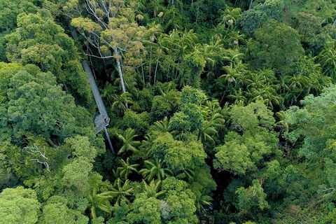 Natural Bridge, Skywalk And Mt Tamborine Adventure! - Accommodation NT 2