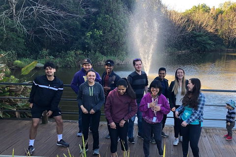 Natural Bridge, Skywalk And Mt Tamborine Adventure! - Accommodation NT 4