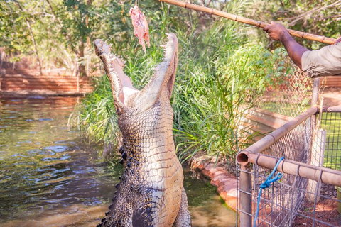 Malcolm Douglas Crocodile Park Tour Including Transportation - Accommodation NT 5