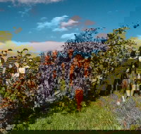 Barossa Valley Private Tour from 2 to 11 people - Accommodation NT