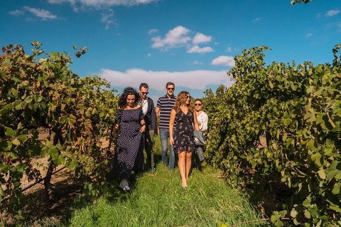 Barossa Valley Private Tour (from 2 To 11 People) - Accommodation NT 0