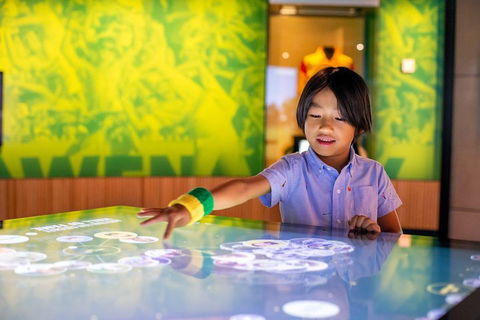 Melbourne Sports Experience + Free Australian Sports Museum Entry - Accommodation NT 4