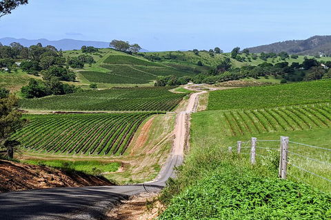 The Complete Hunter Valley Wine Tour Of Pokolbin, Mt View, Lovedale And Rothbury - Accommodation NT 0