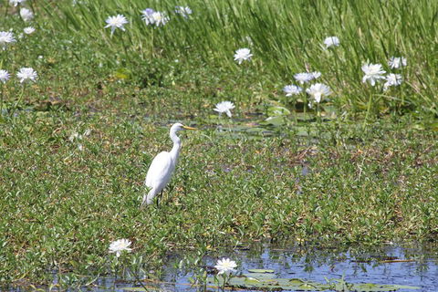 Darwin City Sights And Jumping Crocodile Cruise - Accommodation NT 4