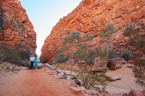 Best Of Alice Springs Full Day Tour - Accommodation NT 1