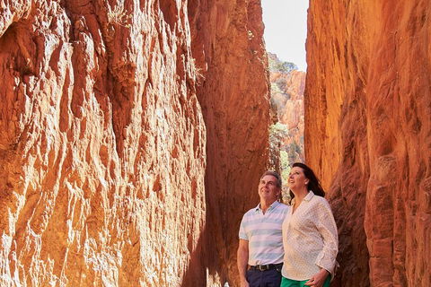 Best Of Alice Springs Full Day Tour - Accommodation NT 4