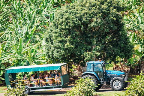 Northern Rivers Full Day Wine Tour - Accommodation NT 1