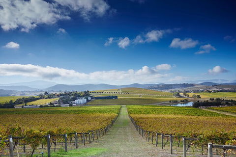 Yarra Valley Wine And Wildlife Self-Driving Tour - Accommodation NT 1