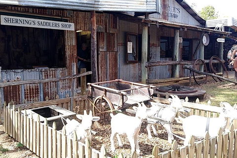 Full Day Atherton Tablelands Tour From Cairns - Accommodation NT 4
