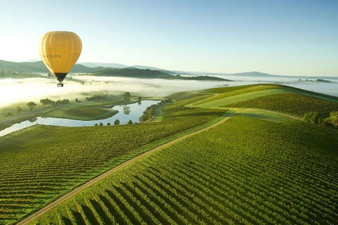 Half-Day Or Full-Day Tour With Private Guide From Melbourne - Accommodation NT 4