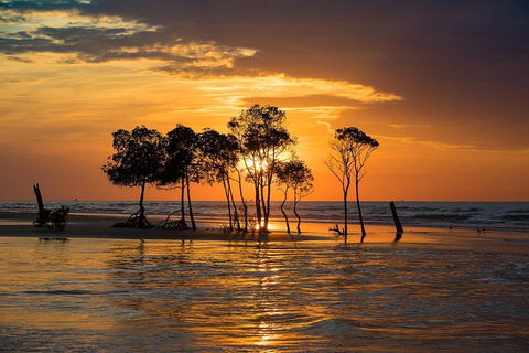 Delightful Darwin Self-Guided Audio Tour - Accommodation NT 3