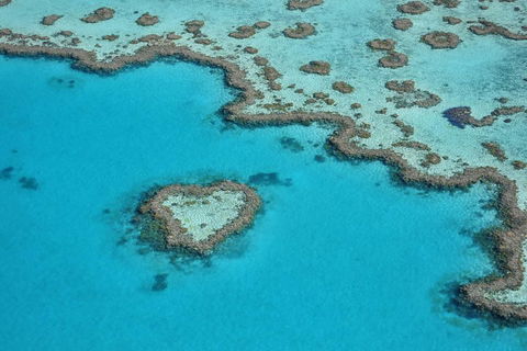 Reef And Island Scenic Flight From Airlie Beach - Accommodation NT 5