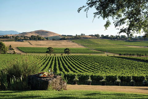 Small Group 6 Guests: Ultimate Yarra Valley Food And Wine - Mercedes Van - Accommodation NT 4