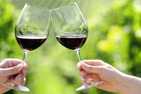 Yarra Valley Premium Tour Inc Lunch And Cheese And Wine Pairing At De Bortoli - Accommodation NT 5