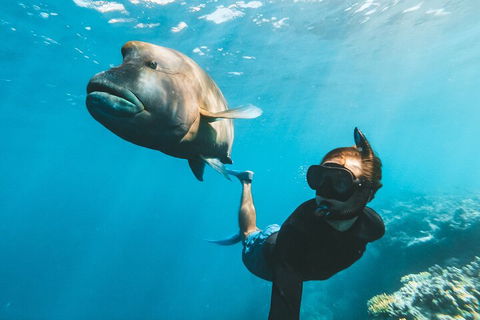 Great Barrier Reef Day Cruise To Reefworld - Accommodation NT 3