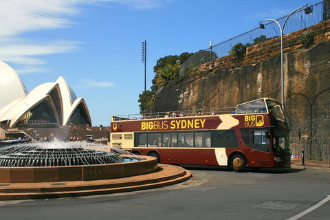 Big Bus Sydney And Bondi Hop-on Hop-off Tour - Accommodation NT 3