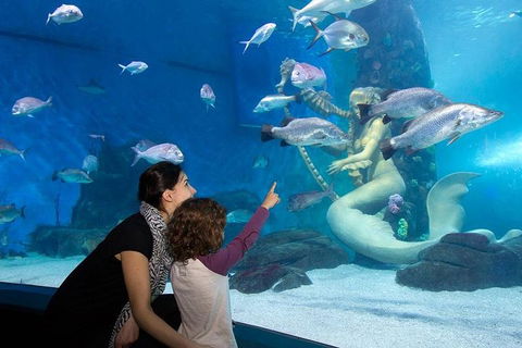 SEA LIFE Melbourne Aquarium Admission Ticket - Accommodation NT 4