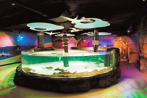 SEA LIFE Melbourne Aquarium Admission Ticket - Accommodation NT 5