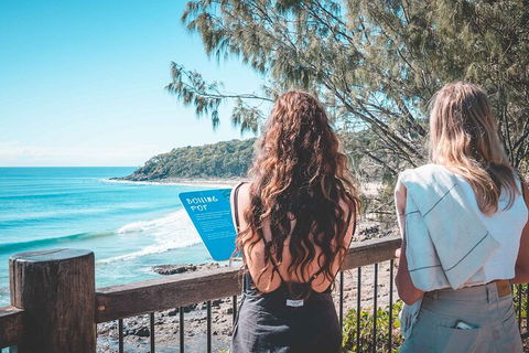 Sunshine Coast Hinterland And Noosa Day Trip From Brisbane Including Eumundi Markets And Ginger Factory - Accommodation NT 2