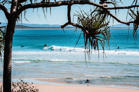 Sunshine Coast Hinterland And Noosa Day Trip From Brisbane Including Eumundi Markets And Ginger Factory - Accommodation NT 5
