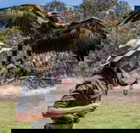 One Day Kangaroo Island Sip  See tour with return ferry transfers from Adelaide - Accommodation NT