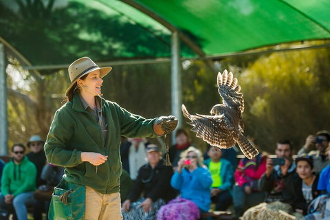 Full Day Kangaroo Island Sip And See Tour Departing From Kangaroo Island - Accommodation NT 1