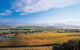 Melbourne City Tour And Half Day Yarra Valley In One Day - thumb 5