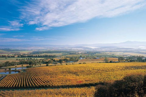 Melbourne City Tour And Half Day Yarra Valley In One Day - Accommodation NT 5