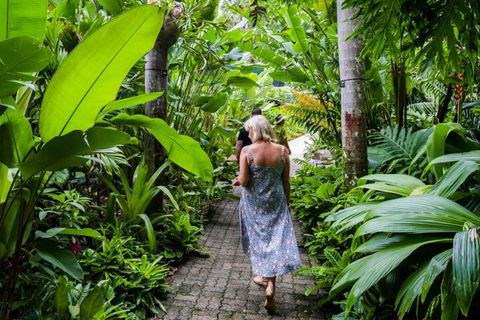 Cairns City Sights And Surrounds Tour - Accommodation NT 2