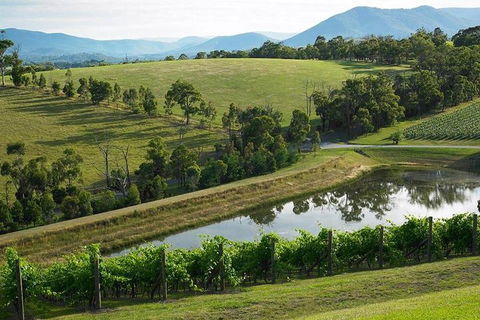 CHEVY CONVERTIBLE Package For 2 People- Wine Lunch Cheese & Chocolate From Melb. - Accommodation NT 0