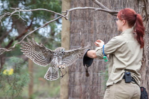 Moonlit Sanctuary Wildlife Conservation Park Daytime General Entry Ticket - Accommodation NT 1