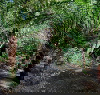 Adelaide to Melbourne 3-Day Trip through Grampians and Great Ocean Road - Accommodation NT