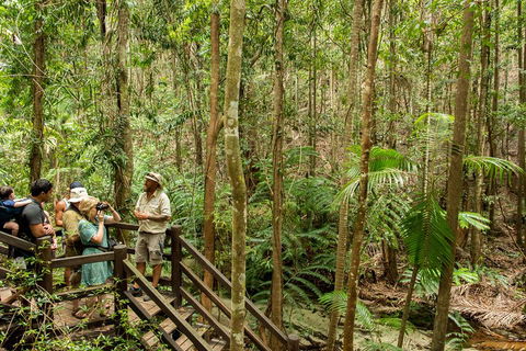 Fraser Explorer K'gari 2-Day Tour - Accommodation NT 5