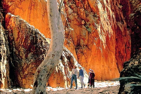 West MacDonnell Ranges Day Trip From Alice Springs - Accommodation NT 3