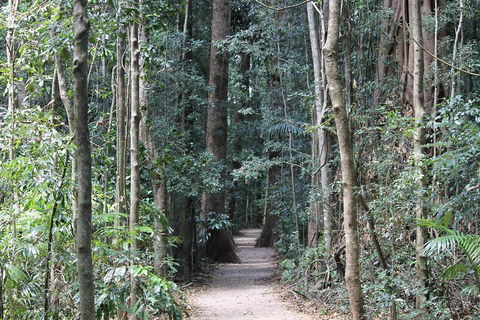 Eumundi Markets And Sunshine Coast Day Trip From Brisbane - Accommodation NT 4