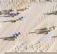 Unlimited Sandboarding - Accommodation NT