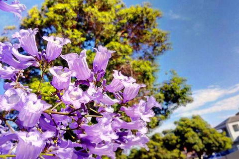 Big Perth (Private) Day Tour - Accommodation NT 3
