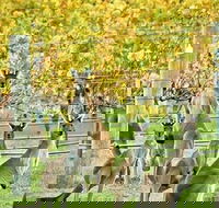 Margaret River Indulge and Discover Day Tour - Accommodation NT