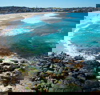 Private Sydney Foreshores and Beaches SUV Tour - Accommodation NT