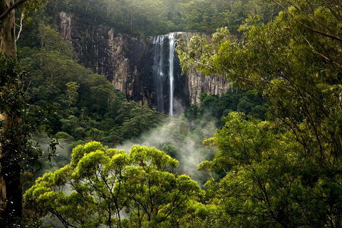 Hinterland Magic & Glow-worm Experience - Accommodation NT 4